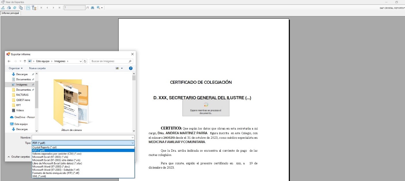 Visor de documentos. Informes y exportación. 1